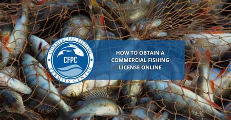 national online licensing system|Commercial fishing licence information .